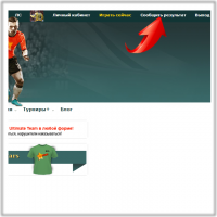 Сообщить результат Инструкция для игроков Pro на 4Stars