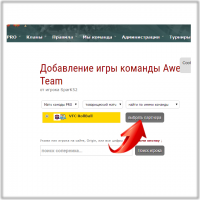нажимаем - Выбрать партнера Инструкция для игроков Pro на 4Stars