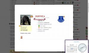  �������� 