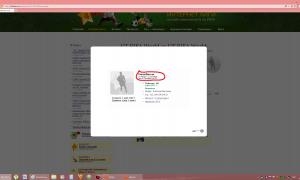  �������� 