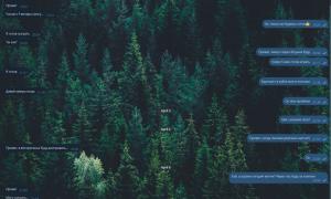  �������� 